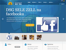 Tablet Screenshot of dsgselezell.at